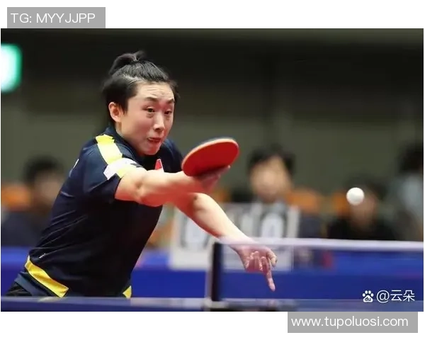 乒乓球的梦想与坚持：西安乒乓球队成长历程的真实记录与反思