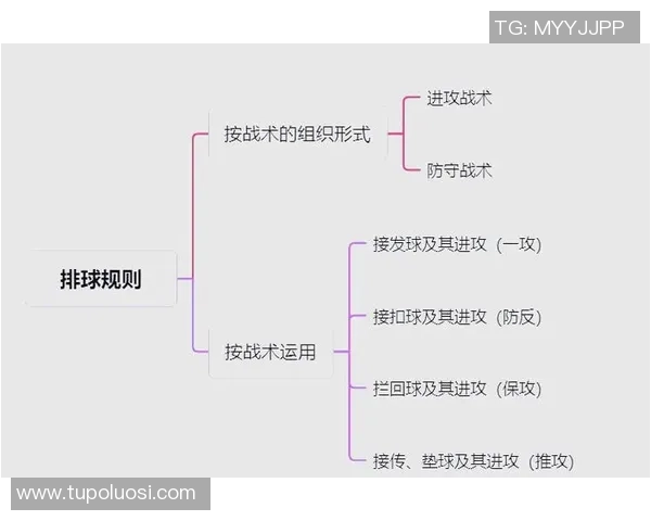 广州排球队战术表现深度分析与数据解读探讨
