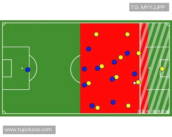 广州排球队反击战术解析与实战应用研究