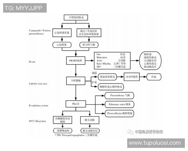 重庆篮球队战术揭秘:从进攻到防守的全方位解析与实践