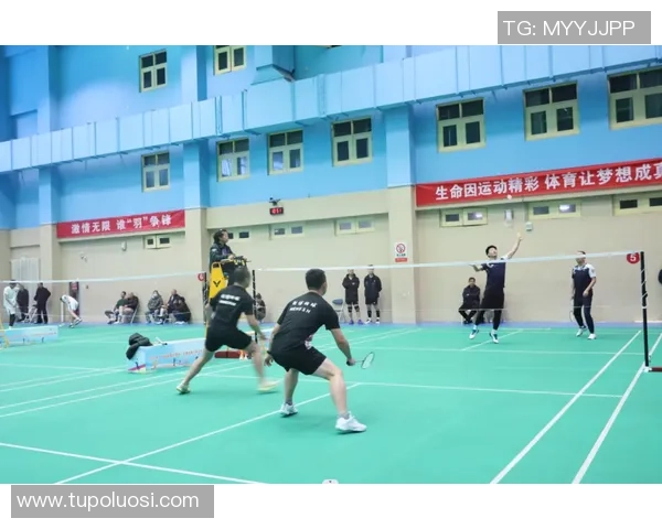 陈磊独家分享网球心得与技巧助你提升球技的全方位指南