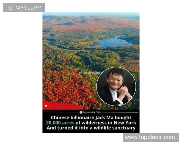 马云式的足球明星崛起背后的商业智慧与运动激情